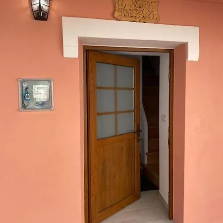 Os Netos De Fina E Tino *